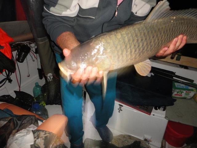 Sulina sept. 2013 - part. II - dsc00740.JPG